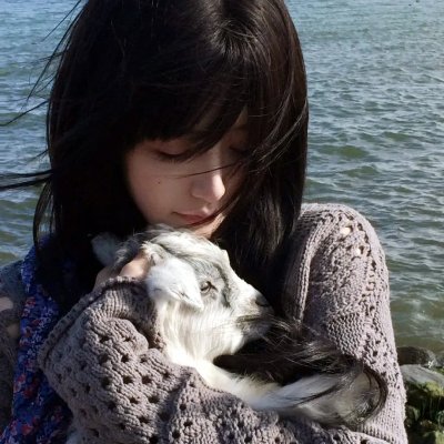 消失的西德尼·豪尔 海报